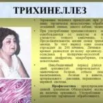 Как да разпознаем червеи Как да разпознаем червеи