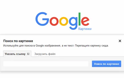 Как да намерите fakie