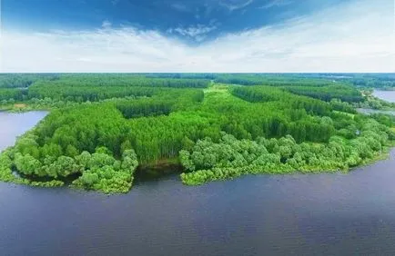 Как кризата в