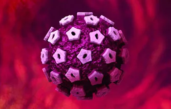 Как да получите HPV Как да получите HPV