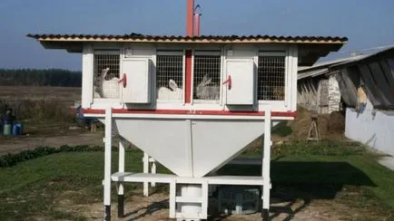 Заек hutches с техните ръце рисунка