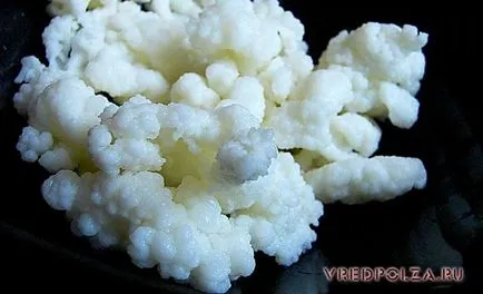 Marine gomba, amely Marine gomba, amely