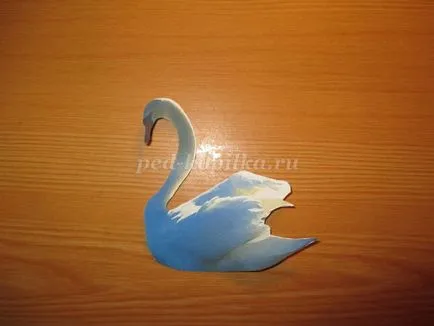 Hogyan rajzoljunk egy Swan szakaszaiban