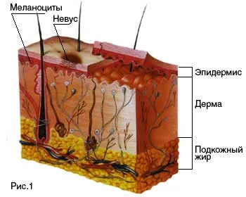 Как да донесе на мола