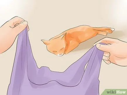 Признаци, че сте мъртъв Признаци, че сте мъртъв