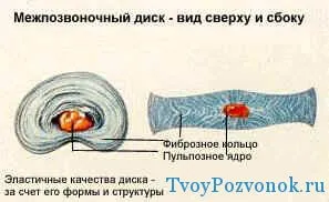 Как да се намали прешлен