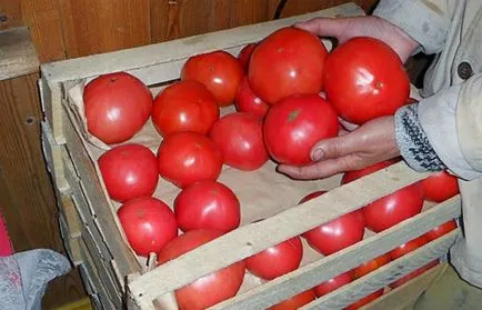 Как да запазим домати