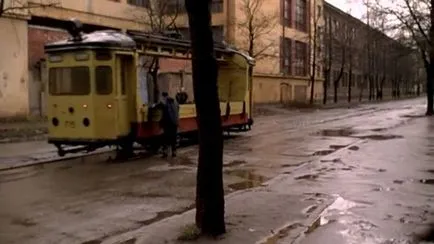 Какво да търсите брат ми и