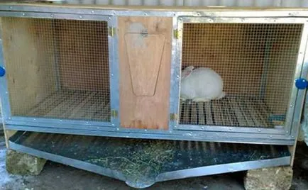 Заек hutches с техните ръце рисунка