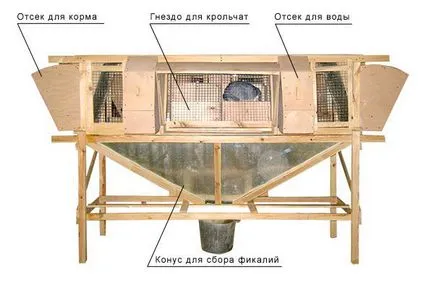 Заек hutches с техните ръце рисунка