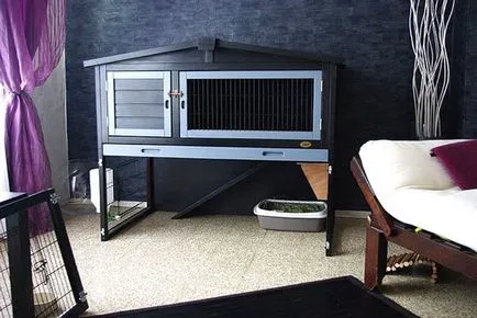 Заек hutches с техните ръце рисунка