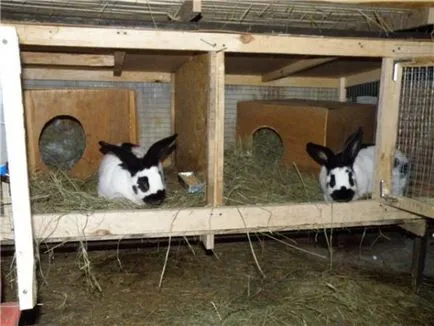 Заек hutches с техните ръце рисунка