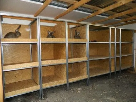 Заек hutches с техните ръце рисунка
