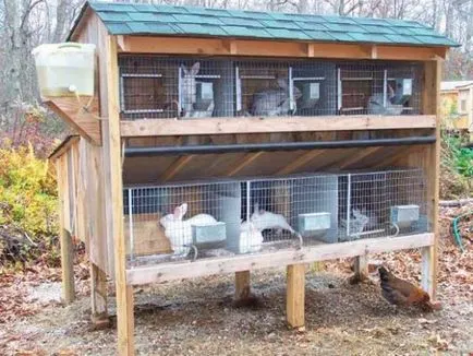 Заек hutches с техните ръце рисунка