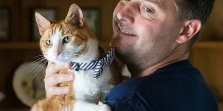 Котката, която ходи на два крака