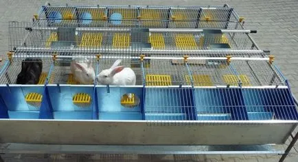 Заек hutches с техните ръце рисунка