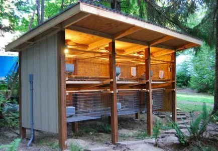 Заек hutches с техните ръце рисунка