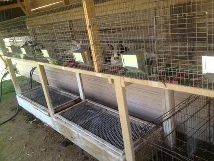 Заек hutches с техните ръце рисунка