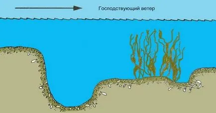 Как да хвана шаран