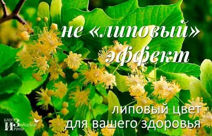От това, което липов цвят