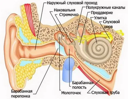 Вредните слушалките Вредните слушалките