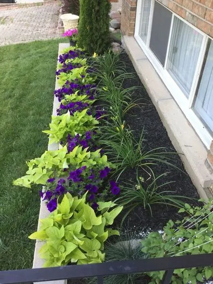 mixborder схема на трайни насаждения