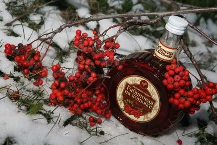 Какво настояват коняк