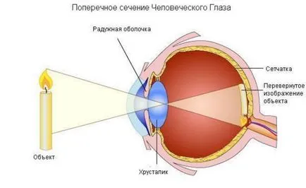 Нарушаването на името