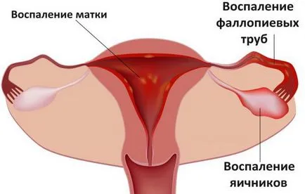 Защо месеца не може да дойде
