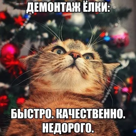 Човекът с глава на котка