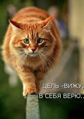 Как да напишем план за цел