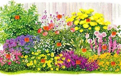 mixborder схема на трайни насаждения
