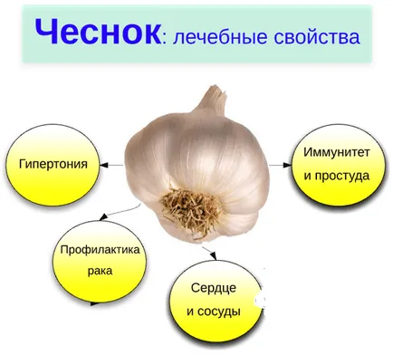 Какво е полезно за чесън