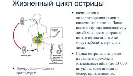 Как да разпознаем червеи