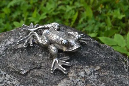 Frog като човек