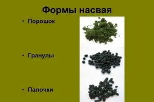 Как и какво nasvay Как и какво nasvay