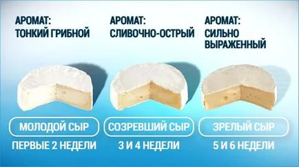 Сирене Камембер, тъй като е Сирене Камембер, тъй като е