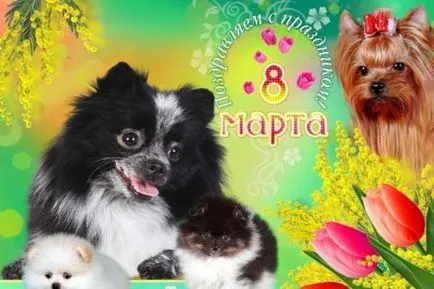 Пощенски картички Happy Birthday кучета