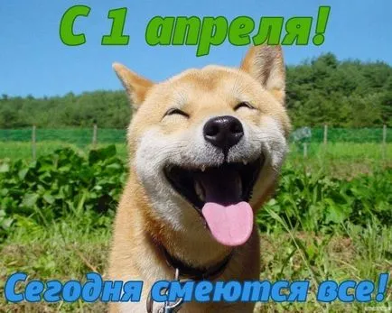 Пощенски картички Happy Birthday кучета