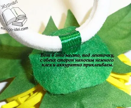 Как да се определи на цветята