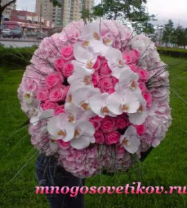 Младоженецът на сватбата на младоженеца