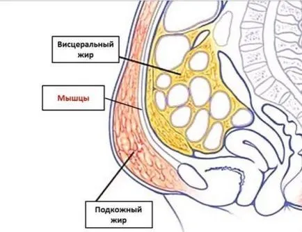 Отслабване без диета у дома Отслабване без диета у дома