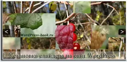 Как да инсталираме плъзгач
