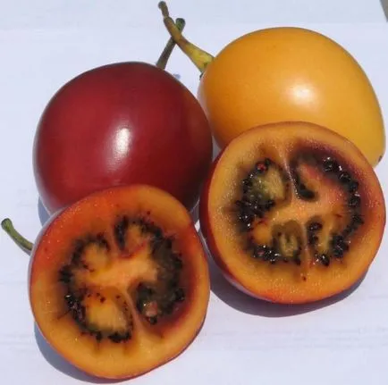 Solanum грижи у дома