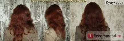 Ползи за Henna косата