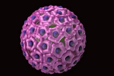 Как да получите HPV