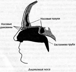 Orr, hogy az ember