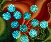 Как да получите HPV