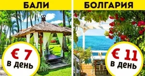 Какво може да се види да плаче