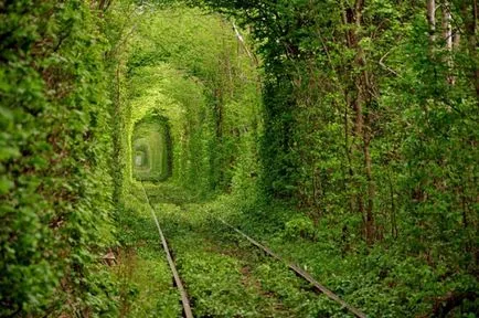 Пейзажи с ръцете си